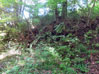 建物写真