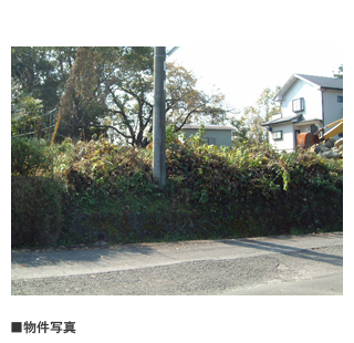 物件写真・間取・地図
